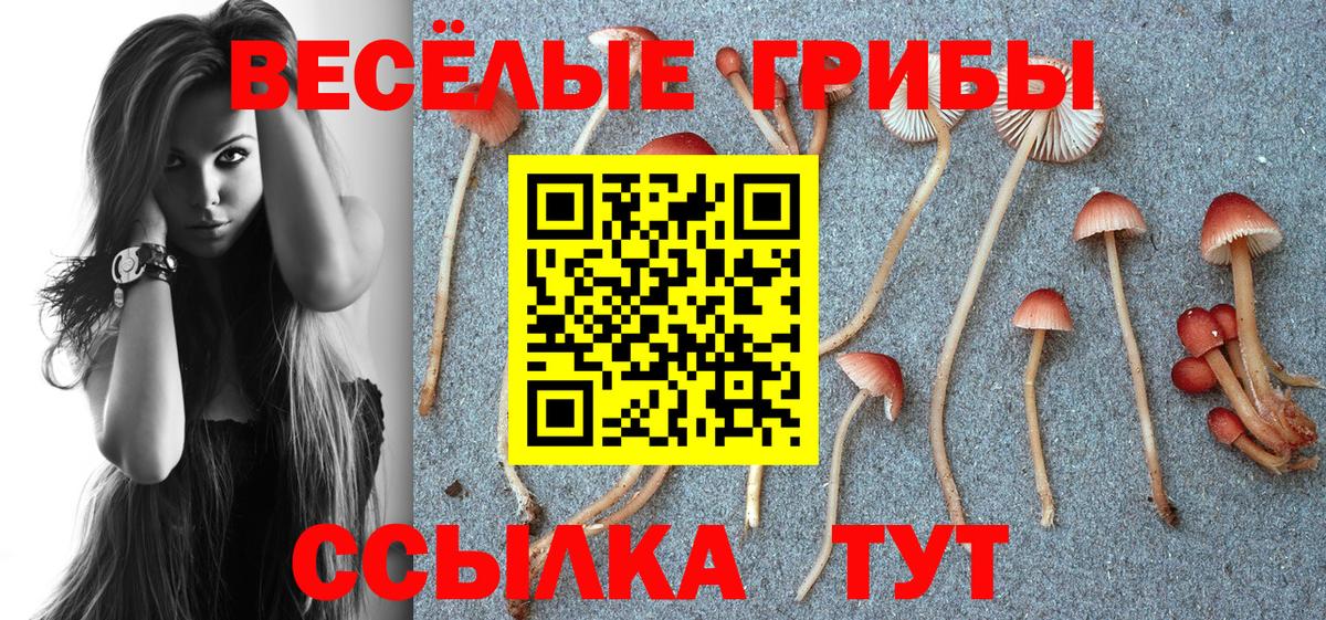 даркнет сайт  Псилоцибиновые грибы мицелий  Вход с VPN  Железноводск 
