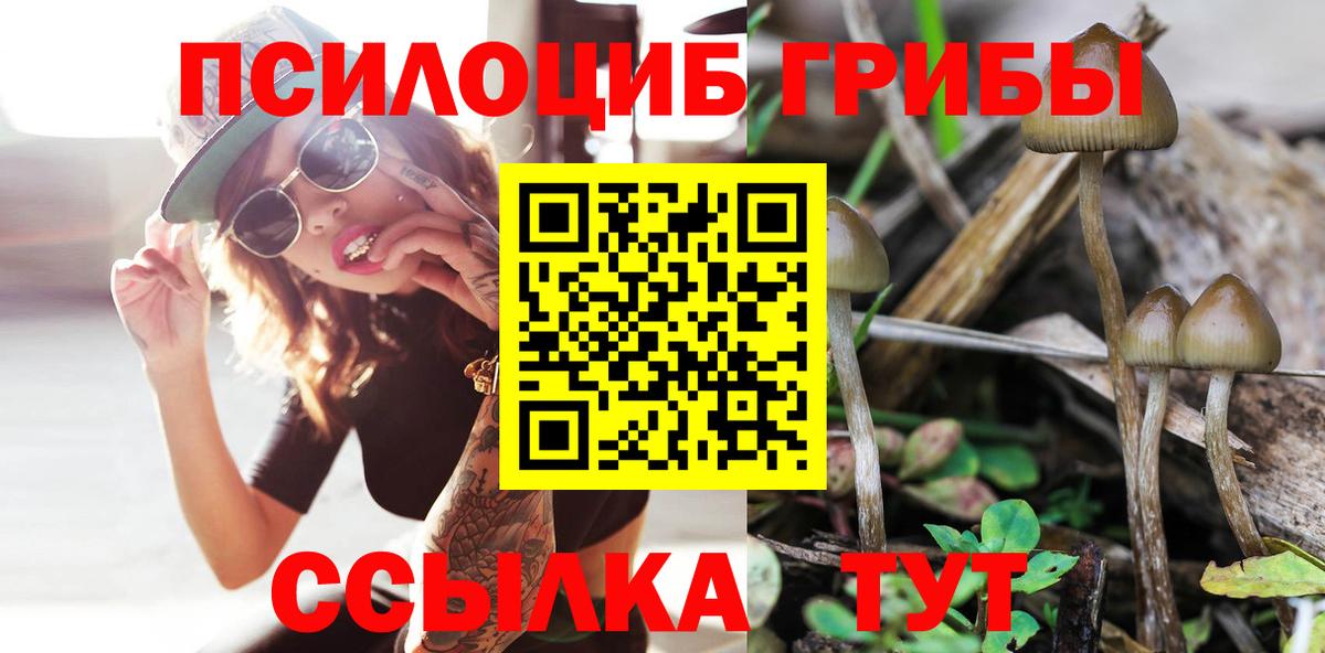 Галлюциногенные грибы MAGIC MUSHROOMS Железноводск